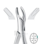 Upper Molars Left Extracting Forceps