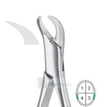 Lower Molars Extracting Forceps