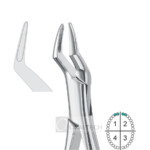 Upper Incisors & Roots Forceps