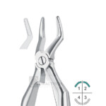 Klein Upper Roots