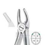 Upper Premolars  Extracting Forceps