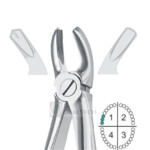 Upper Molars, Right Extracting Forceps