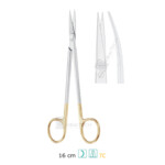 Kelly, TC Scissors