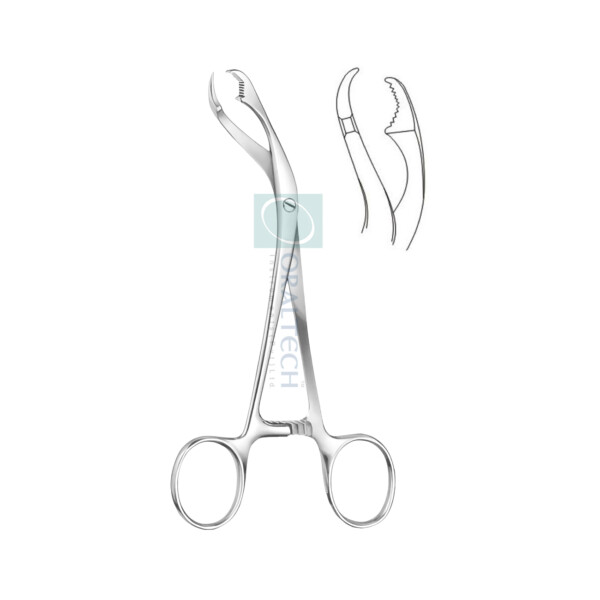 Verbrugge Bone Holding Forceps (Small )