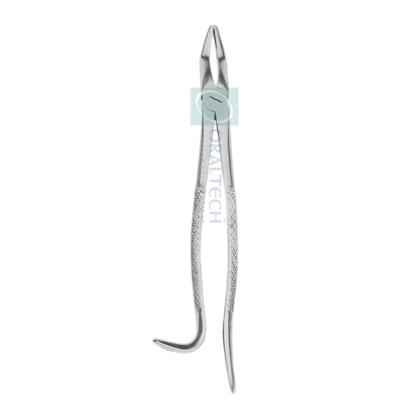 Dental Forceps