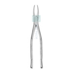 Dental Forceps(Large Breed)