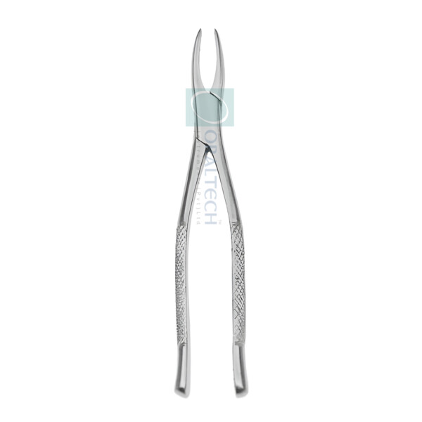 Dental Forceps