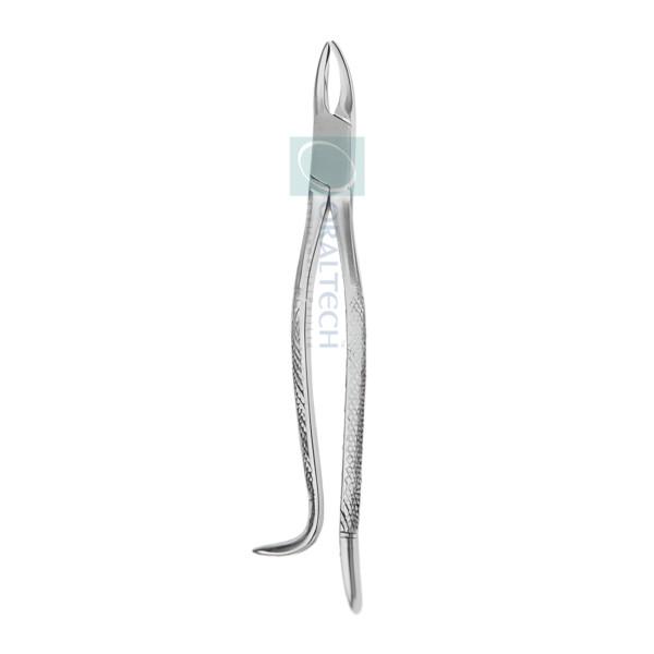 Dental Forceps