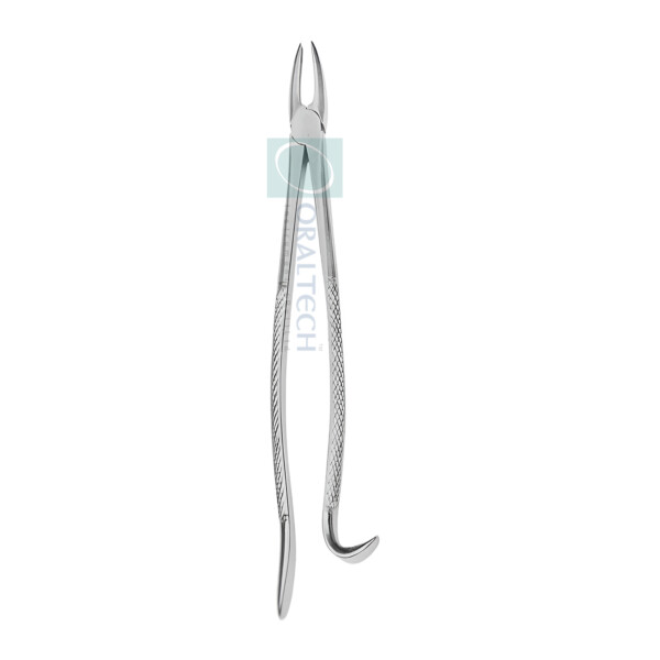 Dental Forceps