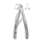 Kelin Extracting Forcep Lower Molar
