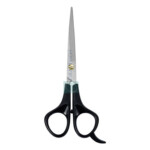 Plastic Handle Scissors