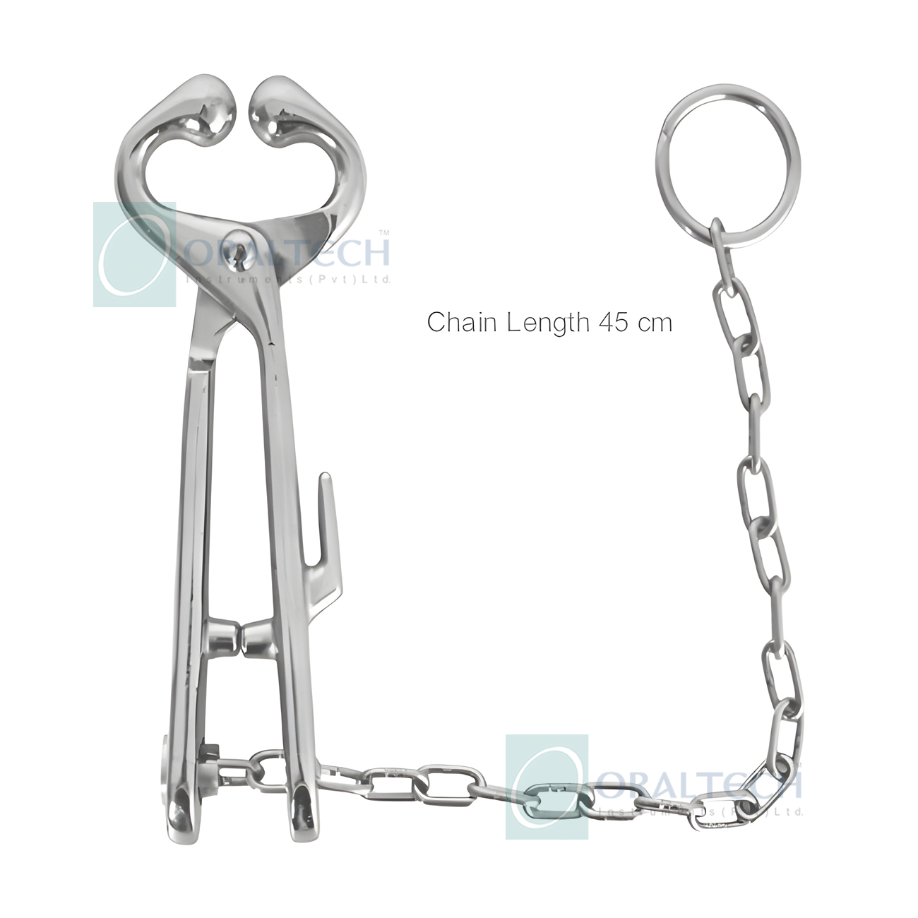 Bull Holders With Hole Hook & Chain