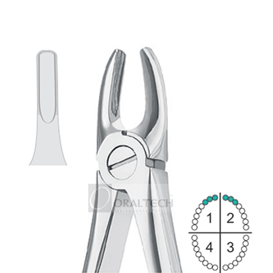 Upper Incisors & Canines Extracting Forceps