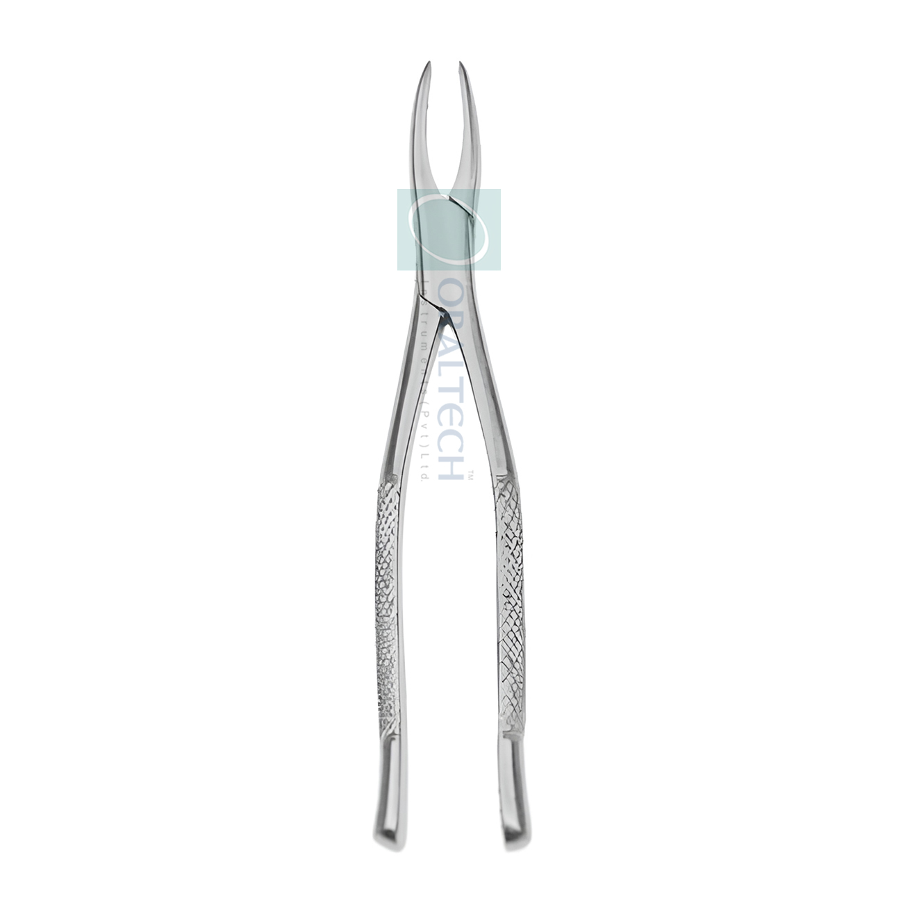 Dental Forceps(Large Breed)