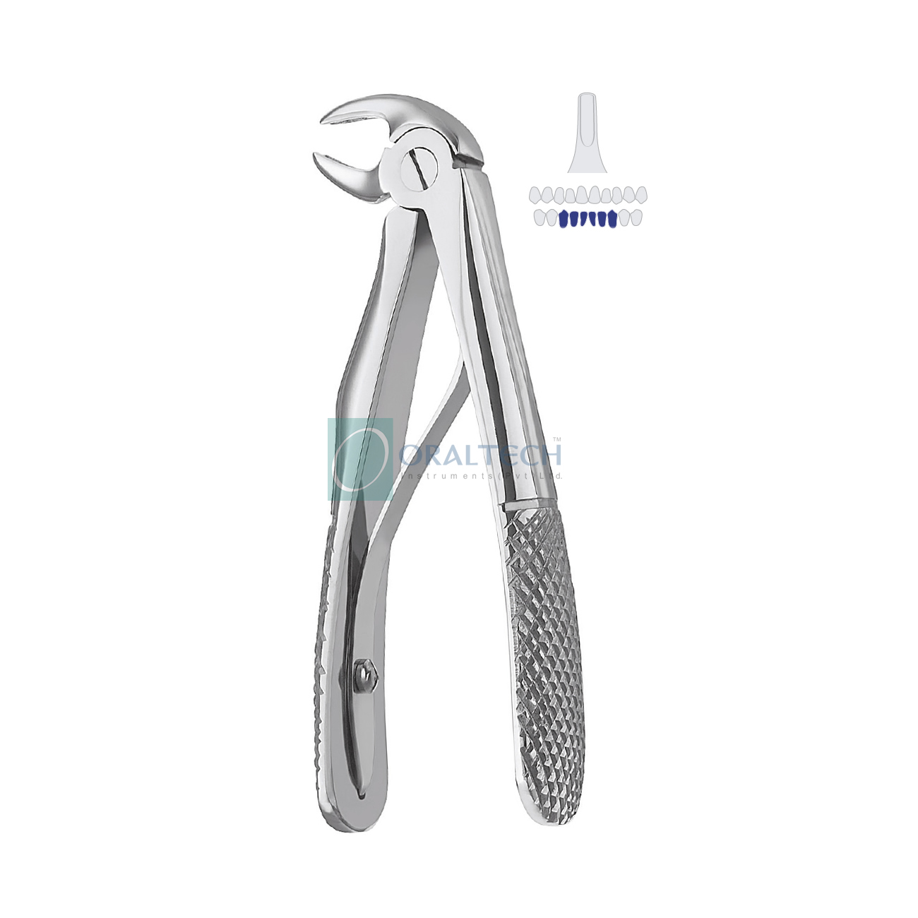 Klein Extracting Forceps for Lower Incisors