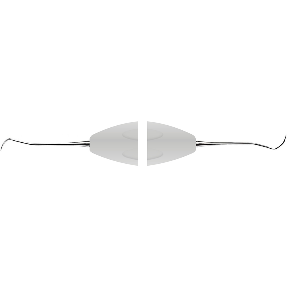 Explorer 18-19